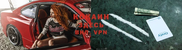 ешки Арсеньев