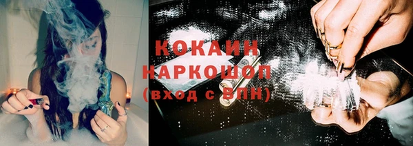 ешки Арсеньев