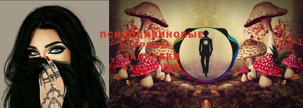 кокаин Алексин